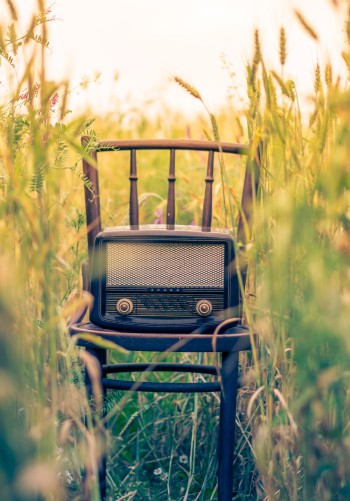 chair, nature, green.jpg